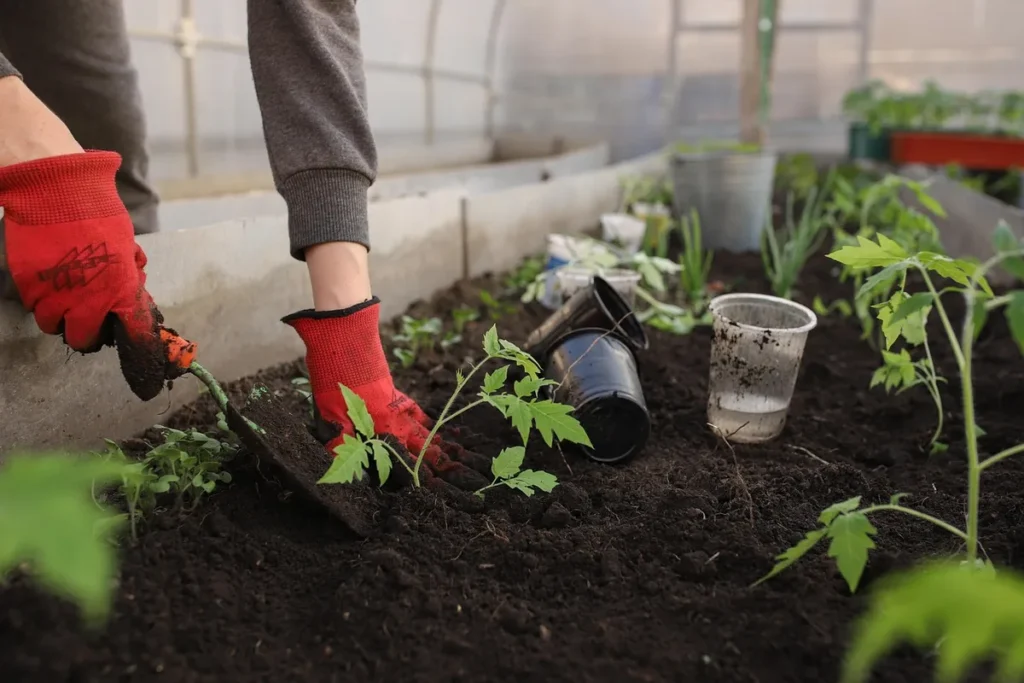 label Ethobio sur panneau dans un potager en fleurs